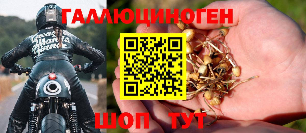 Кинель  Псилоцибиновые грибы Cubensis  Вход с VPN 