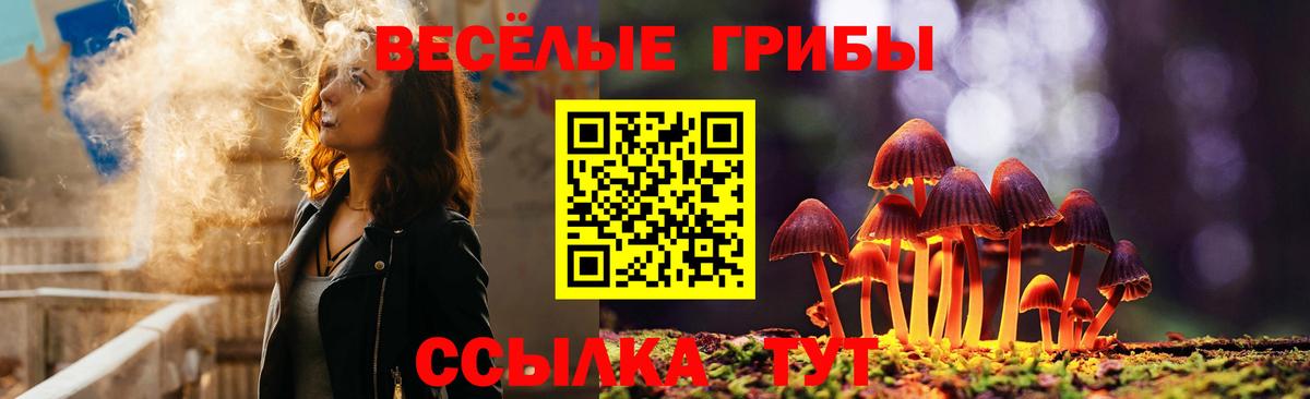 Галлюциногенные грибы MAGIC MUSHROOMS Кинель
